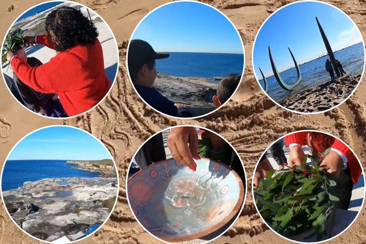 students visiting Dharawal sites to better understand the rich history that shapes the land and its people